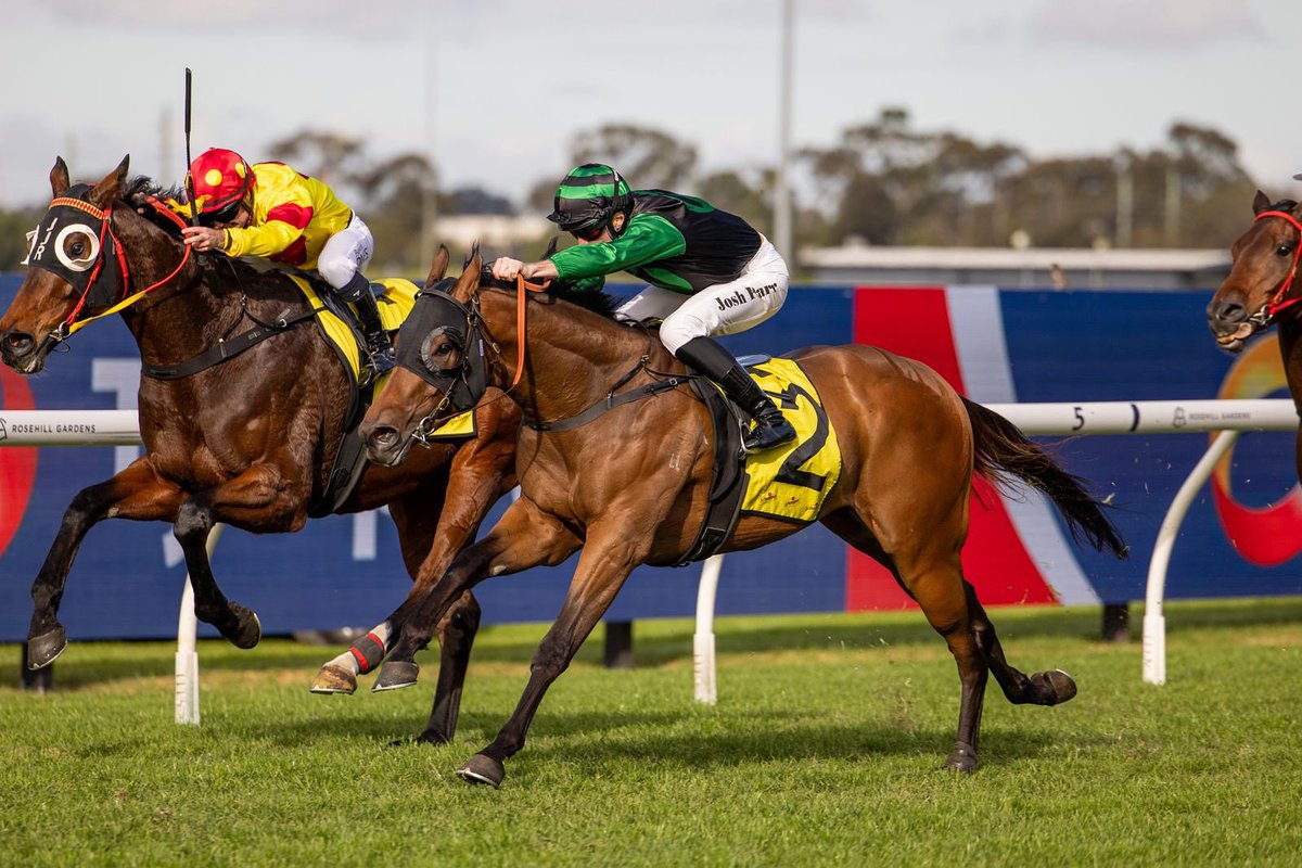 Thunderlips continues his remarkable run of form bringing up his 3rd win from 5 starts this prep, and career earnings of more than $490k for <a href="/BBakerRacing/">Bjorn Baker Racing</a> and a great group of owners!

📸 <a href="/georgiayphoto/">Georgia Young</a>