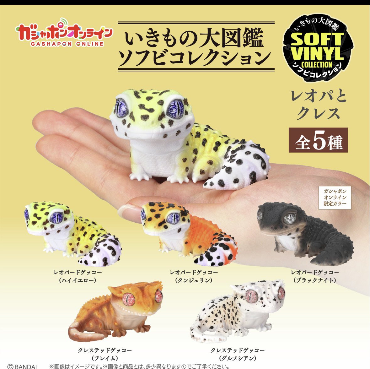mutou710's tweet image. ガチャガチャで、これってレモンフロストじゃね??ってのがさすがにハイイエローって書いてあるよねって友達と話してたら、え?レモンフロストってモロ書いてありましたよ?って聞いて、、ほんとに書いてあるやつもあった笑