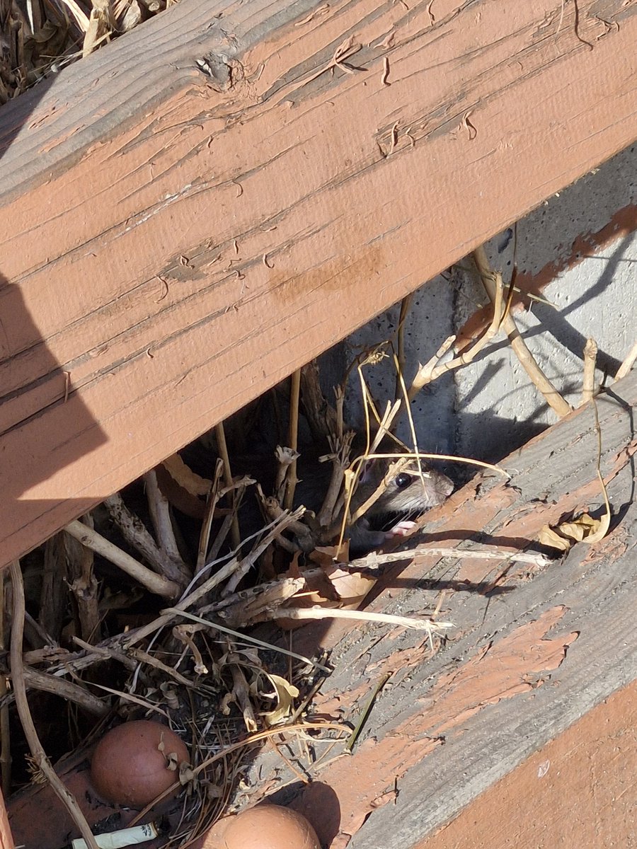 나도 만난 쥑쥑이