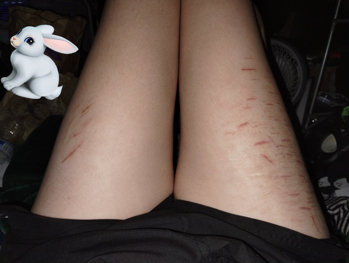 luvingl0la's tweet photo. Thighs hehe https://t.co/Hxy2tzwwVY