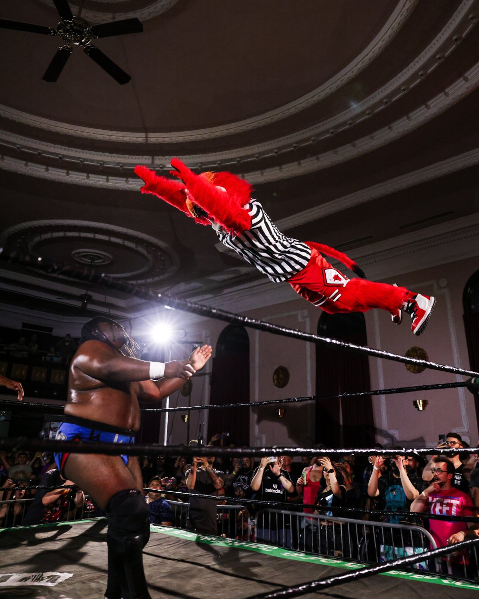 Body-slammed my way into <a href="/FreelanceWres/">Freelance Wrestling</a> 🕶️