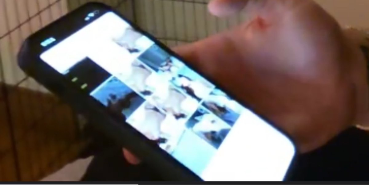 Main acc - @finnhimselff tweet media