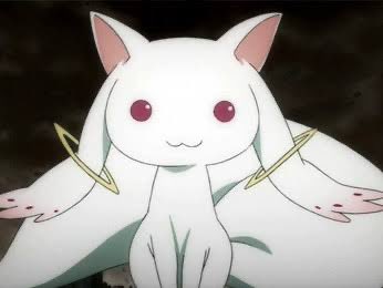 愿望一定会被实现，但可能不是以你想象的方式