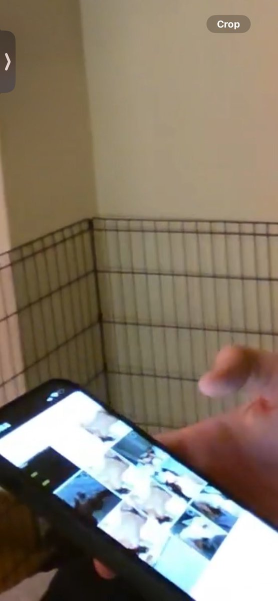 BadShoTHB's tweet photo. LACY LEAKED OLD PICTURE OF DARLA NAKED. https://t.co/URsd7r13ci
