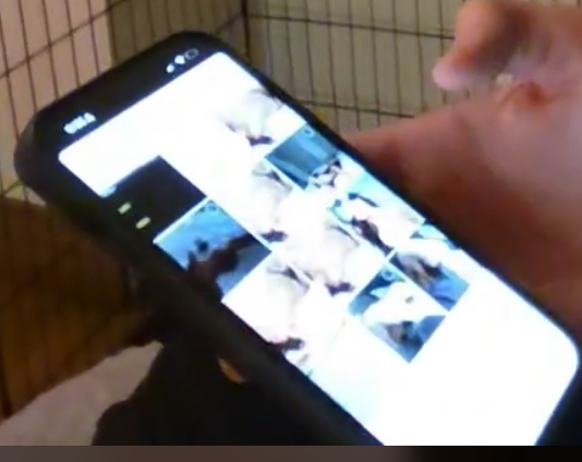BadShoTHB's tweet photo. LACY LEAKED OLD PICTURE OF DARLA NAKED. https://t.co/URsd7r13ci