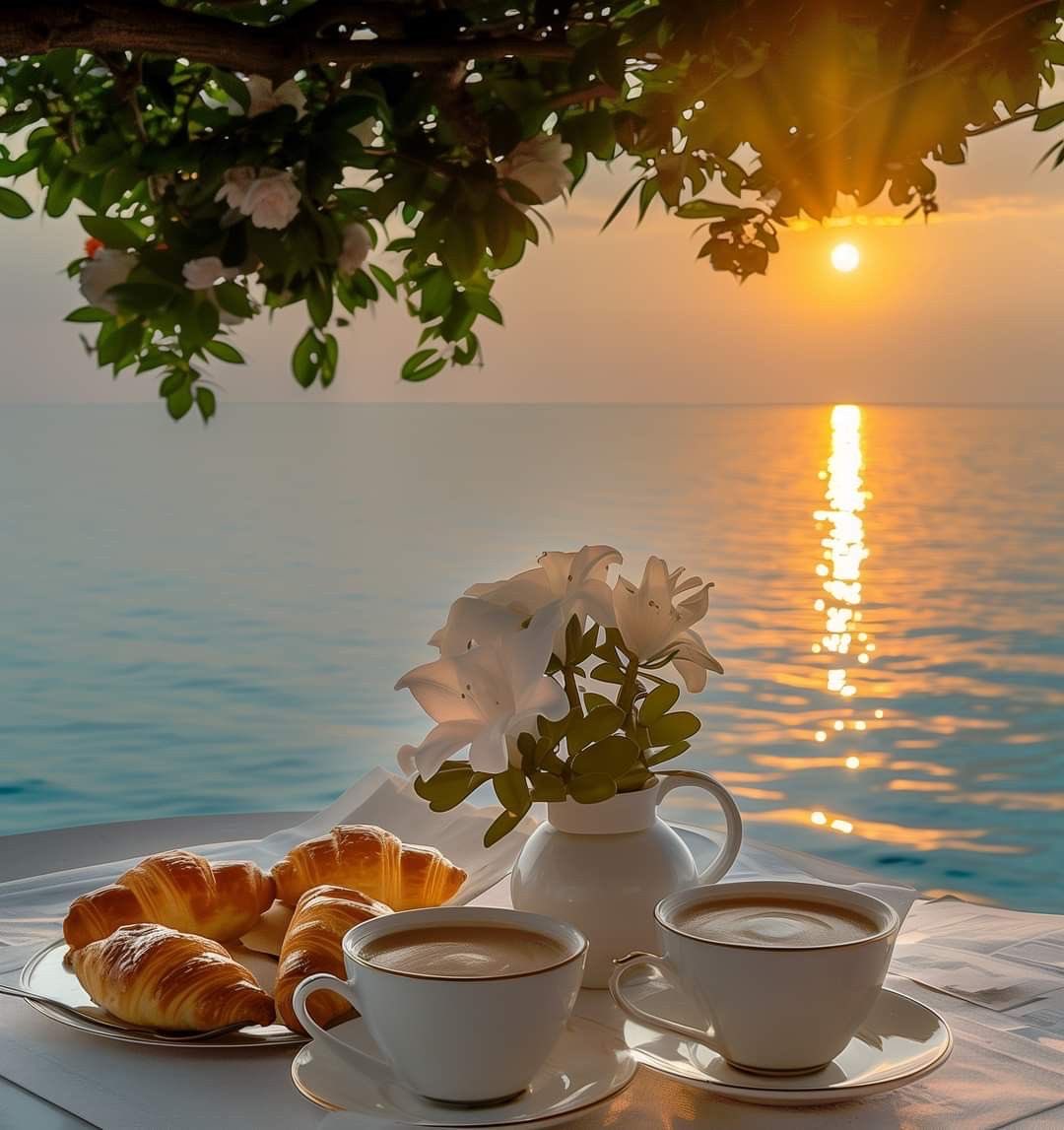 Good morning my friends !
#photos #morning #sunrise