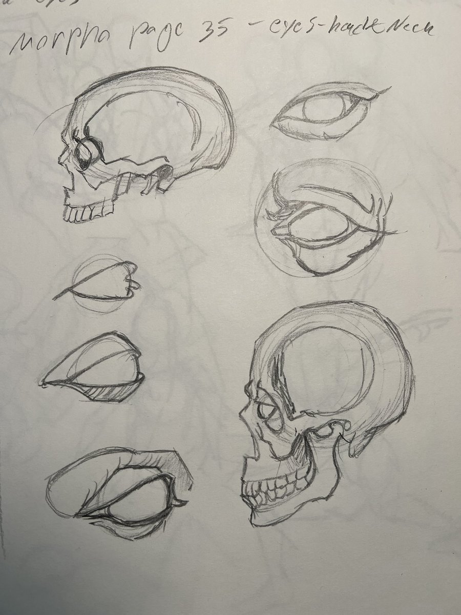 StudioKongou's tweet photo. Pages 99-101 of Character Point Drawing by @taco1704, pages 34&amp;35 of morpho anatomy - On-Stream Drawing https://t.co/pZww4tfpEM