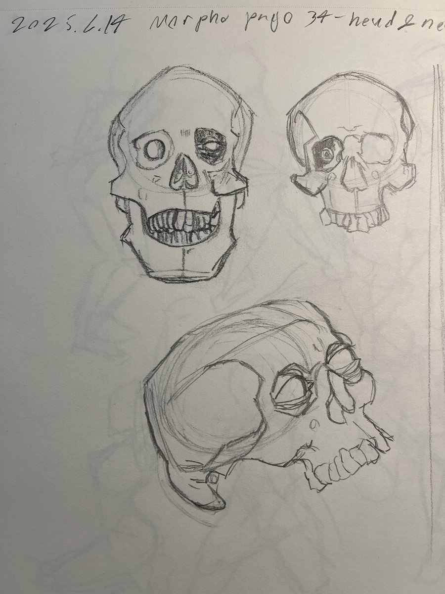 StudioKongou's tweet photo. Pages 99-101 of Character Point Drawing by @taco1704, pages 34&amp;35 of morpho anatomy - On-Stream Drawing https://t.co/pZww4tfpEM