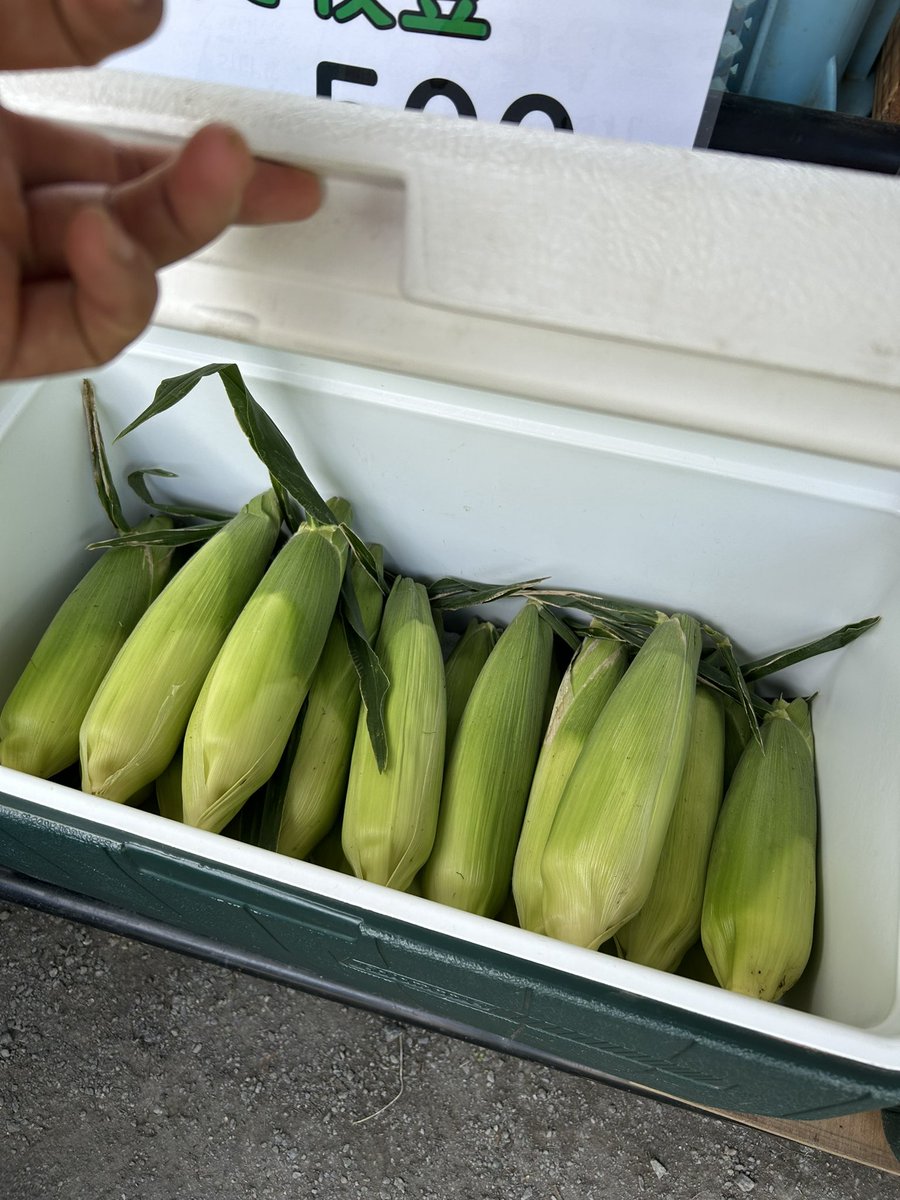 13:55
🌽補充しました
まだまだ沢山ございます。
ご来店お待ちしてます♪
