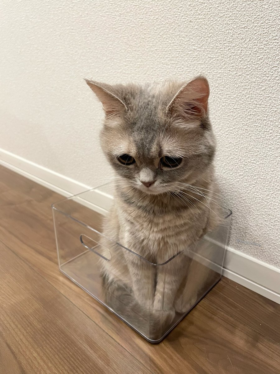 ♡おんぷ♡ Black】ハートジップアップフーディー /Heart Zip-up Hoodie | FI