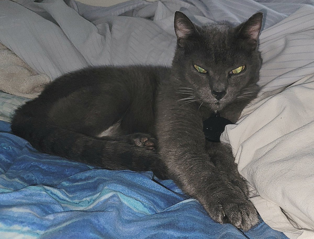 Static_Distort's tweet image. 