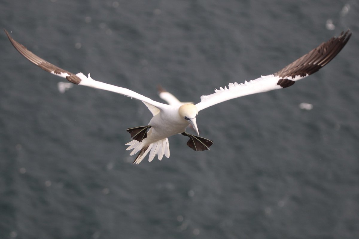 Jo Woolley tweet media