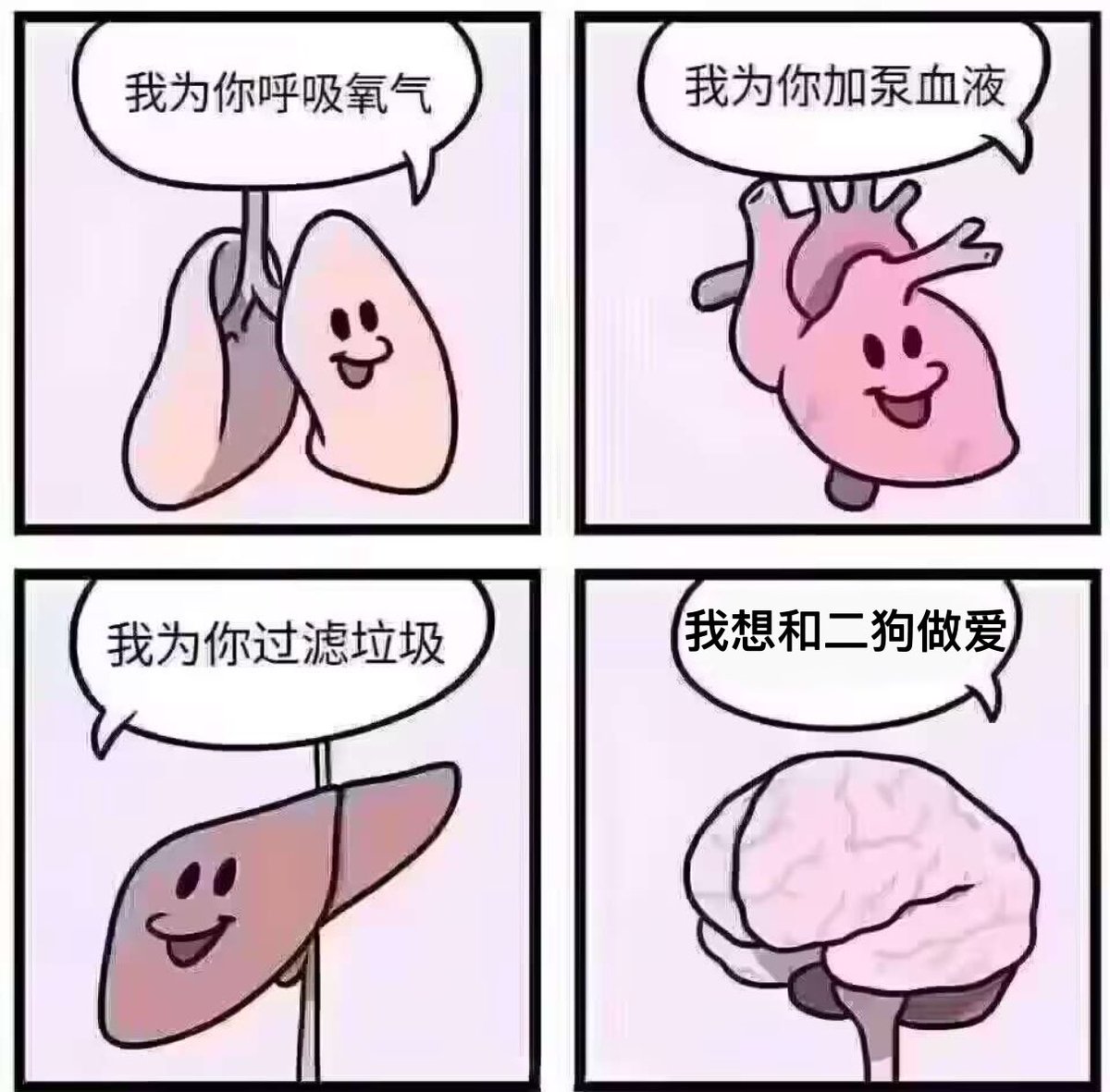 偷的梗图