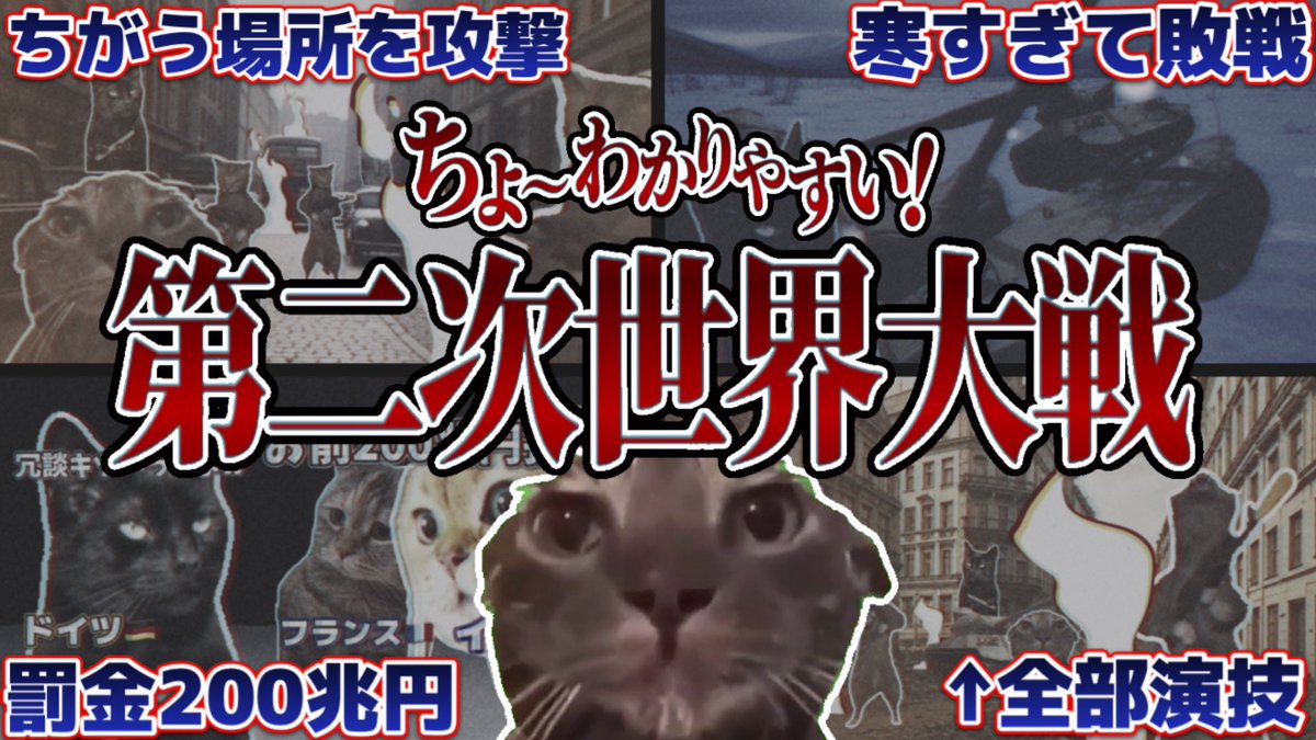 まみむめも🐈 (@Liepardcats) / Posts / X