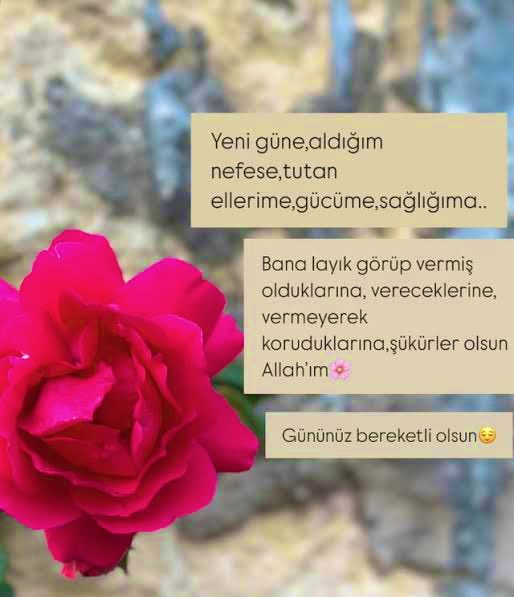 Sabahınız nurlu duanızın kabul olduğu bir Gün olsun 🌸