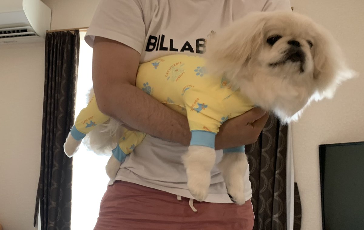 お店の人に犬種と体重伝えてこのサイズですねって言われたやつ買ったんだけど、なんか、あの、ケツ丸出しなんだけど...?