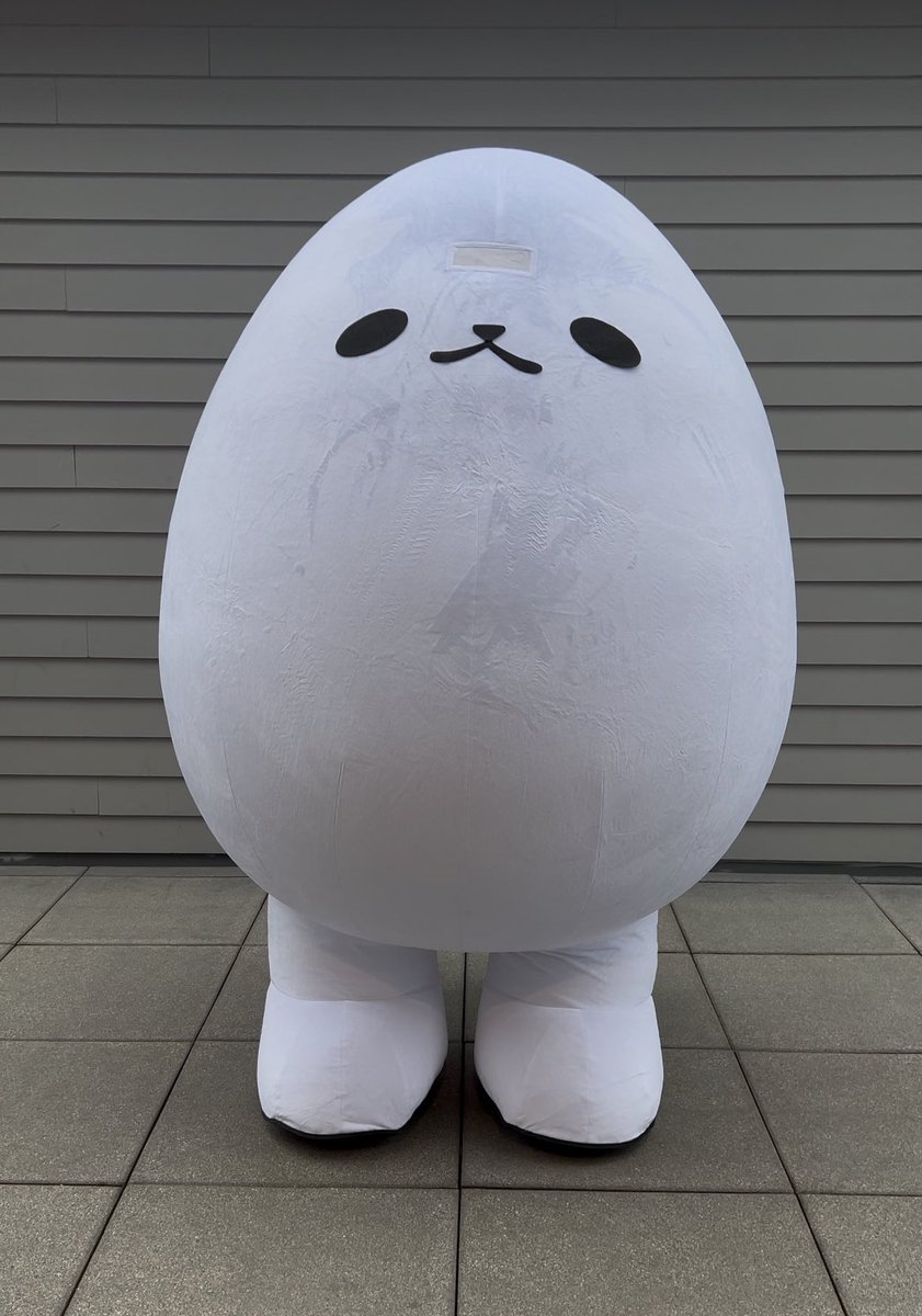 zamsire✨🍳 tweet media