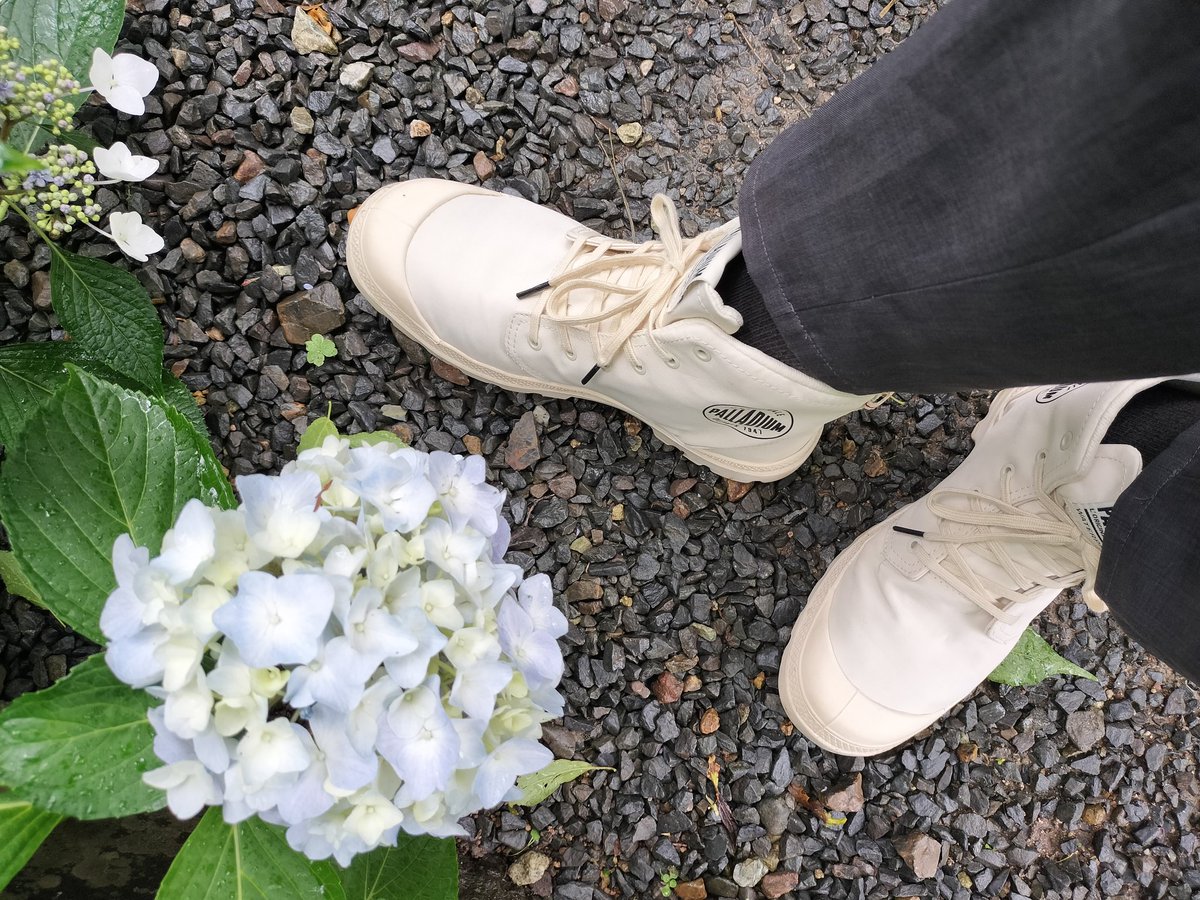 パラディウム tweet media