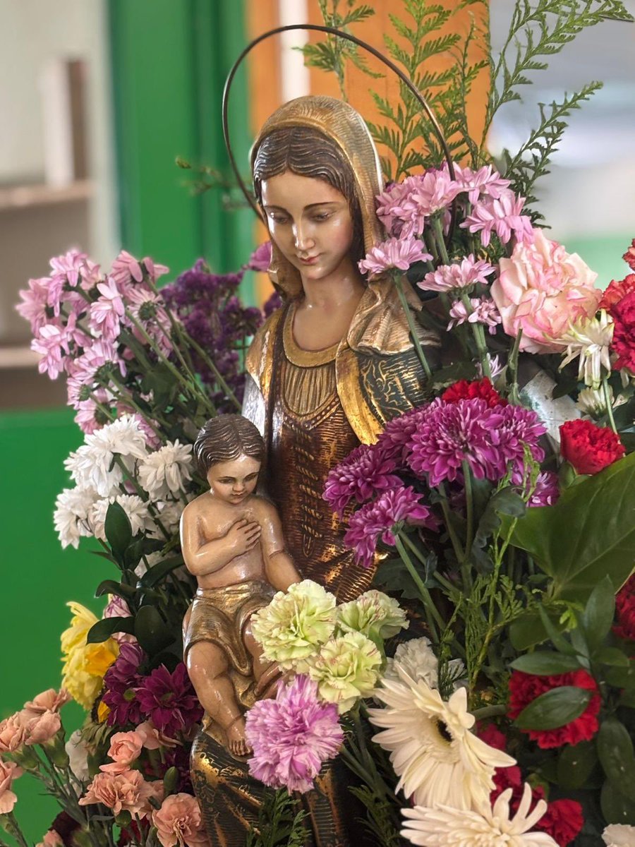 Hoy celebramos el Día del Inmaculado Corazón de María 
Un corazón lleno de amor, ternura y entrega.
Un corazón que nos inspira a cuidar, acompañar y servir con alegría.
Que su ejemplo nos anime a seguir encendiendo corazones con luz y esperanza.
¡Feliz día del Corazón de María!