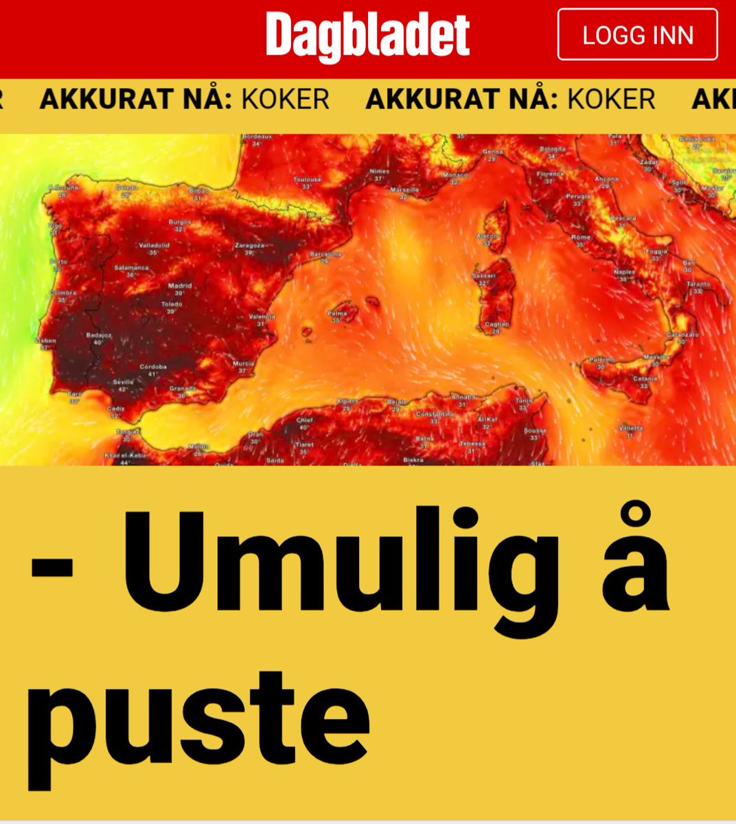 Bråstein Sneder tweet media