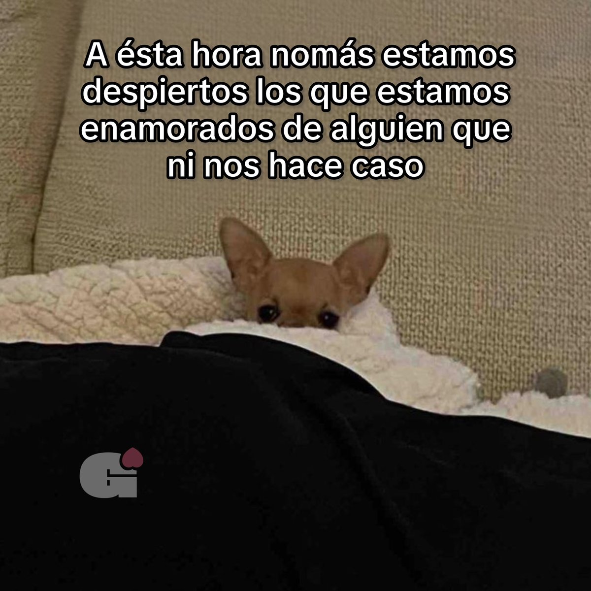 Guarromantico_'s tweet photo. Efectivamente. https://t.co/BYgzvhGMor