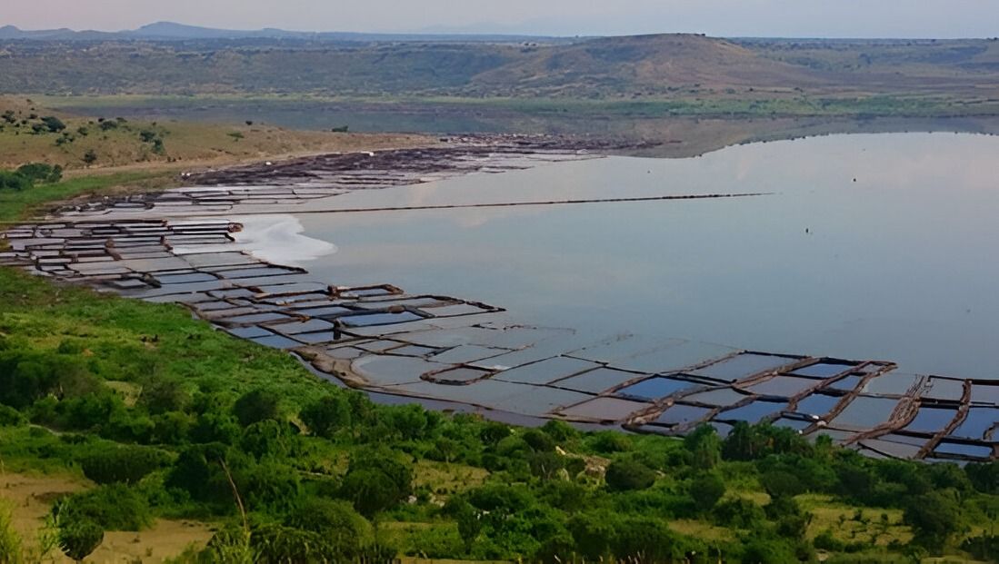 Traditional salt mining in action! 700-year-old methods still alive. Witness living history today: queenelizabethnationalparkuganda.com/attractions/la… #katwecraterlakesareainqueenelizabethnationalpark #queenelizabethnationalpark #lakekatwecrater