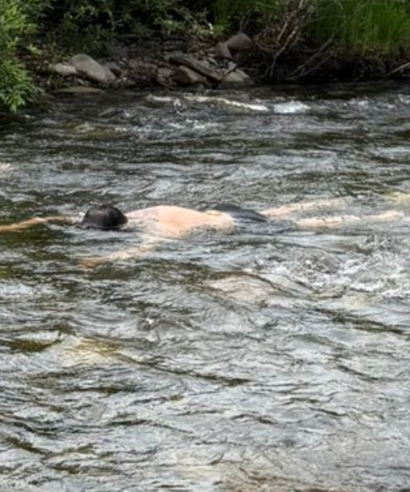Заа нөгөө Анхаа чинь хүн ирж авахгүй бол уснаас гарахгүй гээд хэвтчихлээ...🤦‍♂️