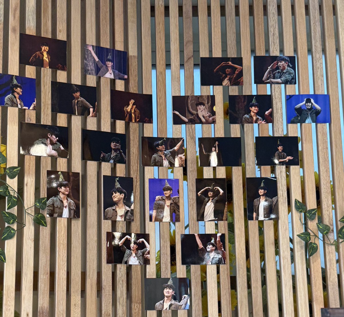 달루버 tweet media