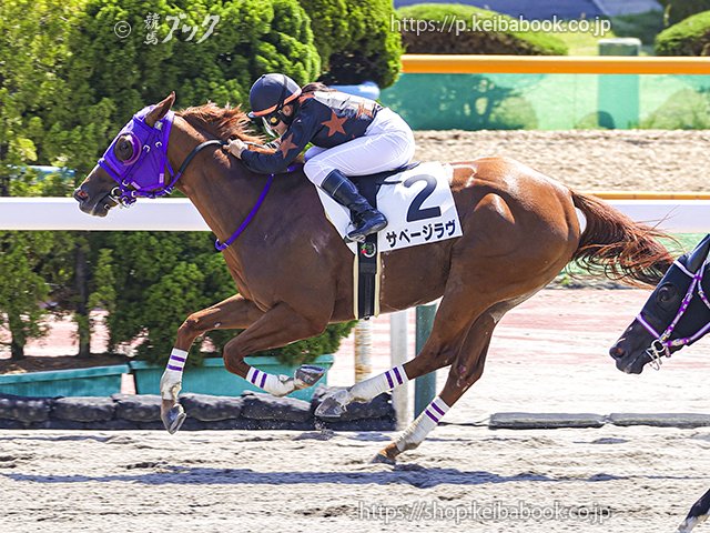 <a href="/OUMAColtd/">株式会社OUMA</a> ㊗おめでとうございます📷写真をどうぞ
#サベージラヴ の3歳以上1勝クラス 2025年6月28日函館8R
騎手： #小林美駒 生産者： #グランド牧場（新ひだか）
#競馬 #keiba