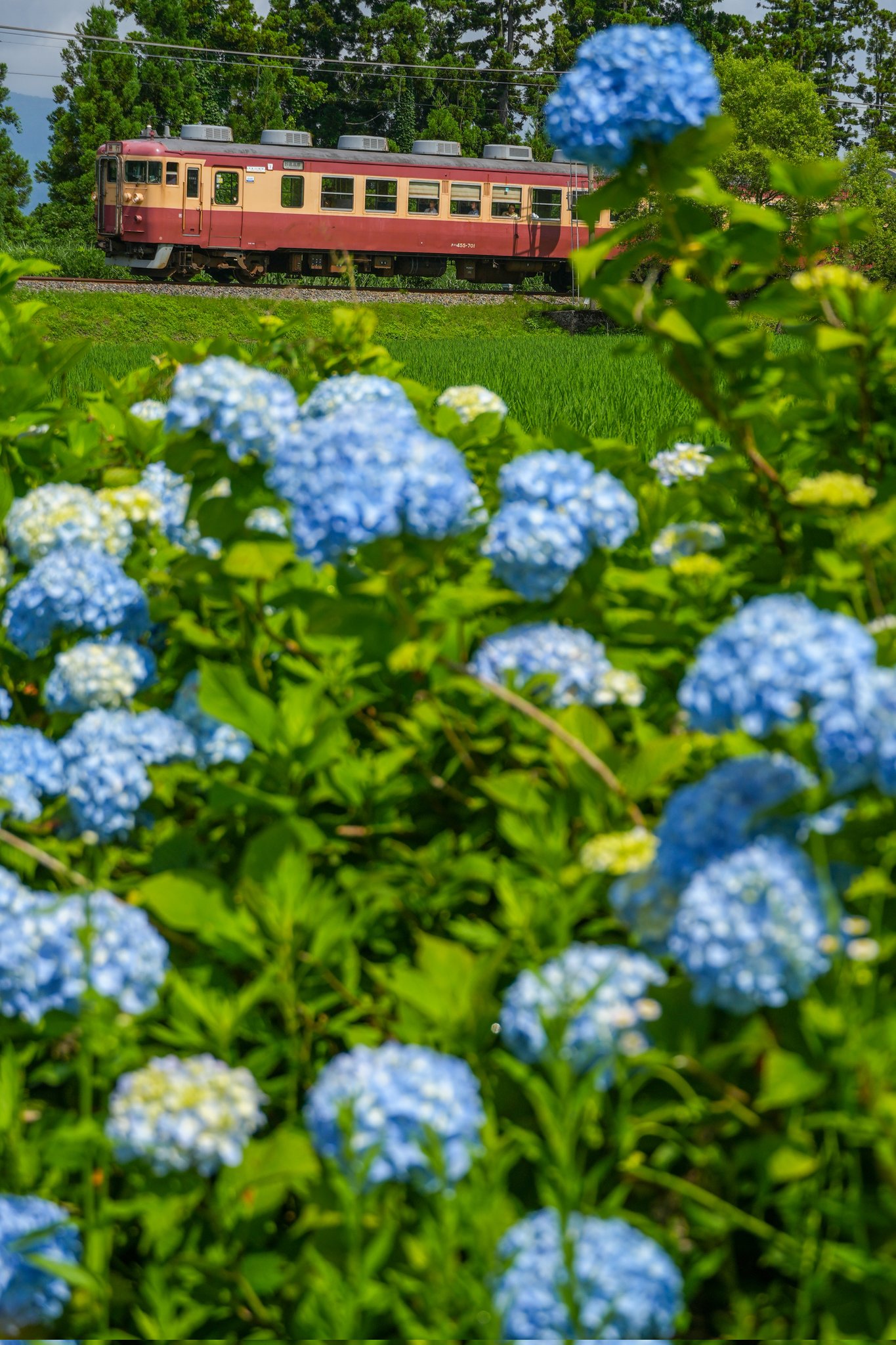 秋の山道 No.204  No.205 MUSASHI SEAL WHEEL HUB FRONT FOR ISUZU ELF NKS55G I3630 size