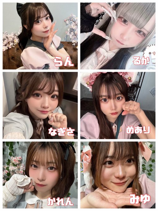 ~メイド喫茶~曖昧Aliceのツイート