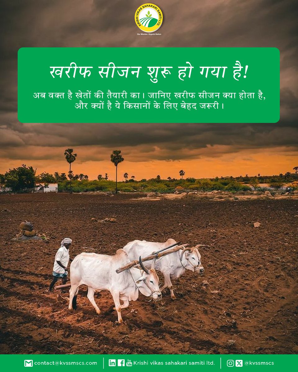 kvssmscs's tweet photo. खरीफ सीजन आ गया है – खेतों में नई उम्मीदें जगाने का समय! 🌾 यह जून से अक्टूबर तक मानसून के साथ आता है और धान, मक्का, बाजरा, मूंग, सोयाबीन जैसी प्रमुख फसलें लाता है। 
.
.
.
#KVSSL #KrishiVikas #Kharif #KharifSeason #Agriculture #Farming #SustainableFarming #Monsoon https://t.co/ueYjoaJVNt