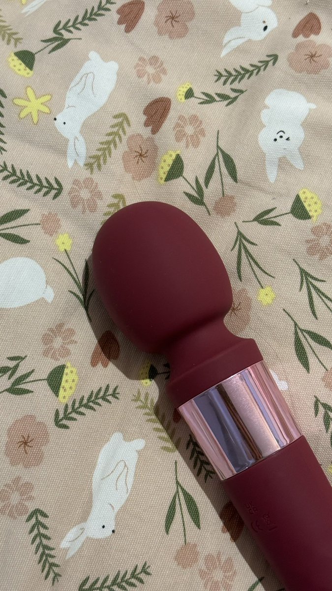 OATHVIP's tweet image. 之后我们家小狗再跟我闹情绪，我决定上个强度。 5档起步，强按120秒。