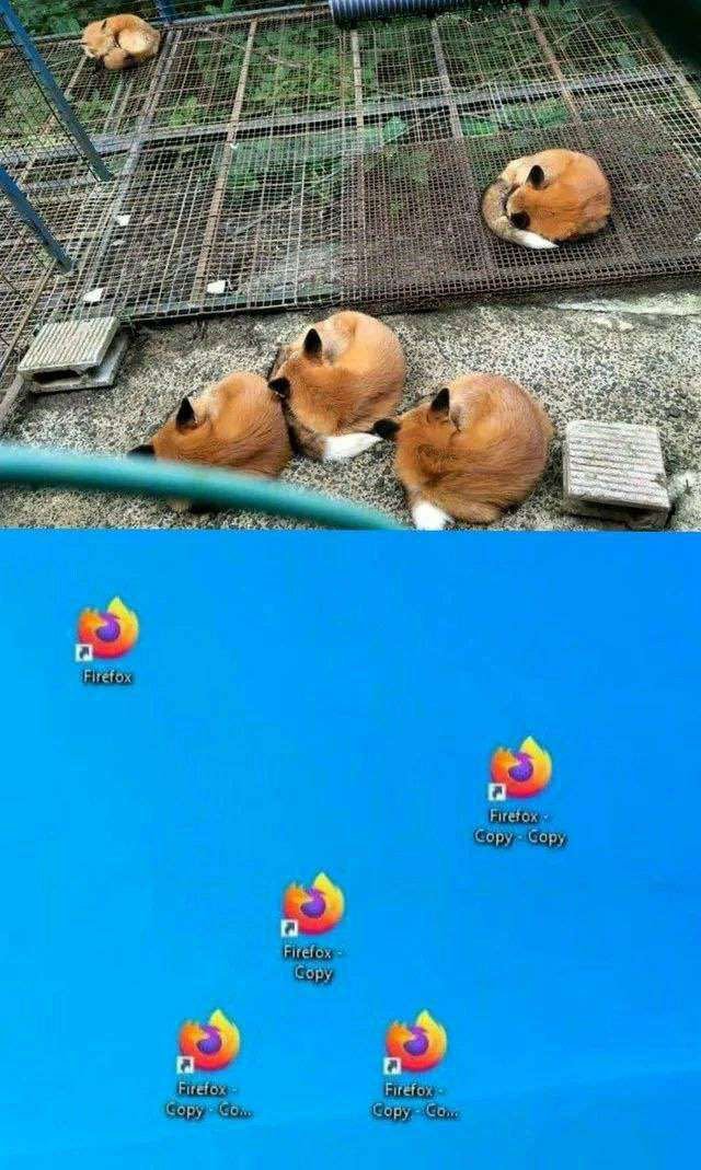 千ㄖ乂 🦊 tweet media