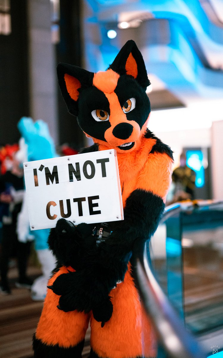 So since #anthrocon2025 is less than a week away who am I gonna see there?

Photo by <a href="/leggyyyyyyy/">Maiao ⏚</a>