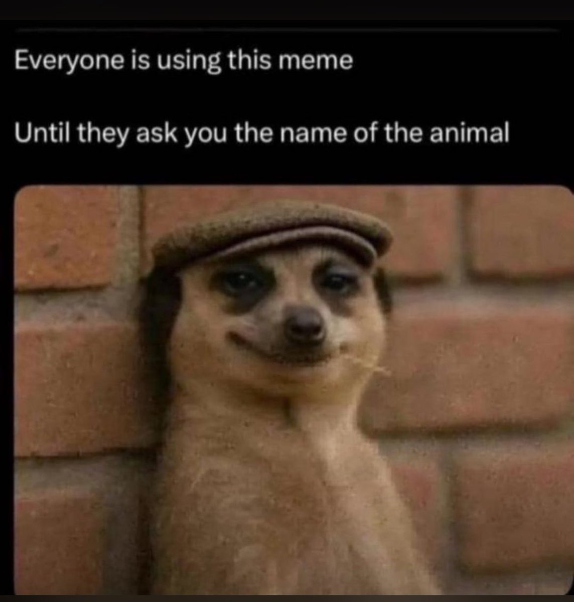 Can  I get a GM 🙂‍↔️🙂‍↔️