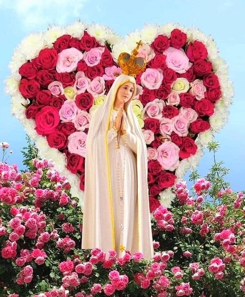 🌾Gesù benedici tutti noi. Maria proteggici con il tuo Amore materno.✨ Amen.✨🙏🏻✨♥️