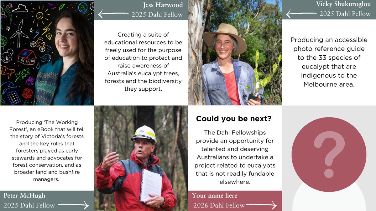 Eucalypt Australia - Archived tweet media