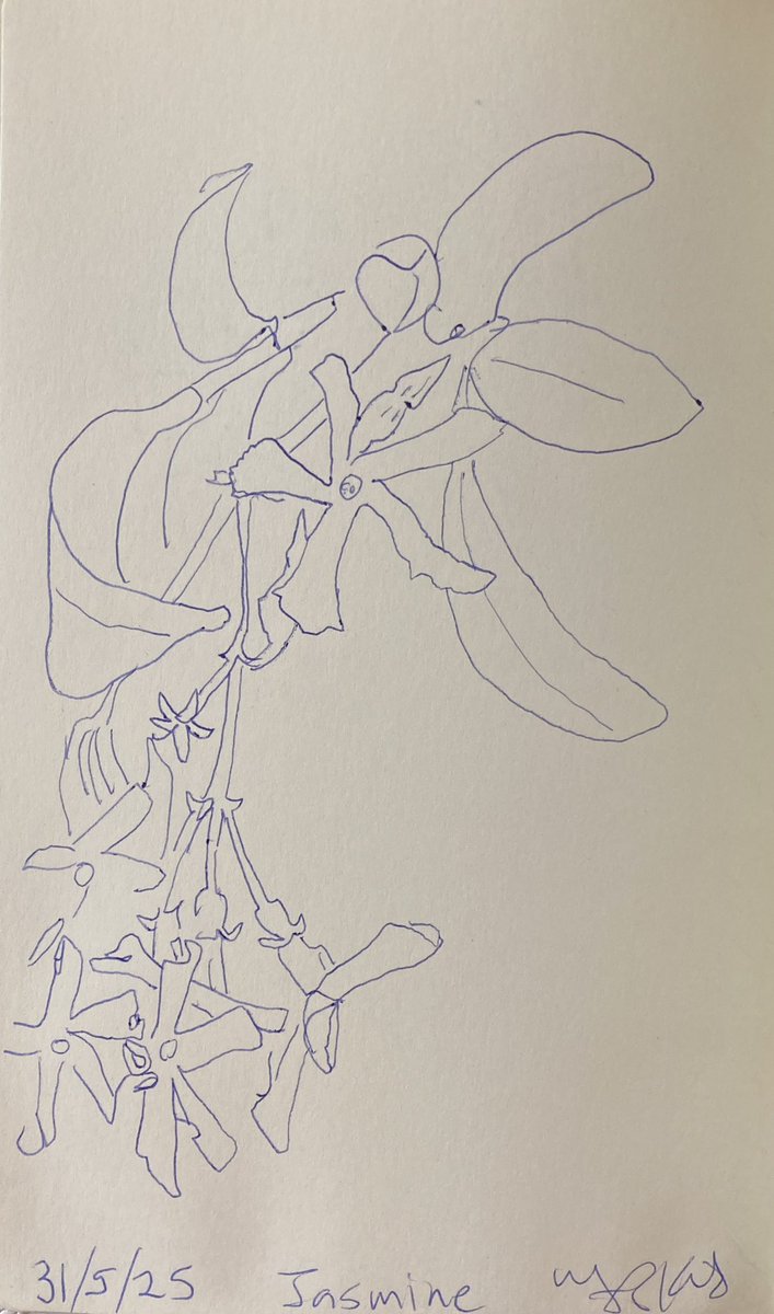 Today’s #sketch from 31/5/25 of #Nature #ballpoint #Pen #Drawing 21.5 x 13.5 cms  on paper

More sketches
instagram.com/frankkiely/