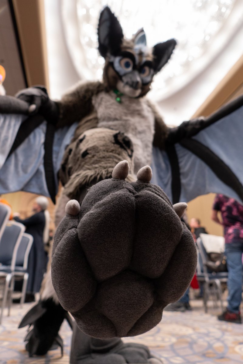 Ambient Hippogryph tweet media