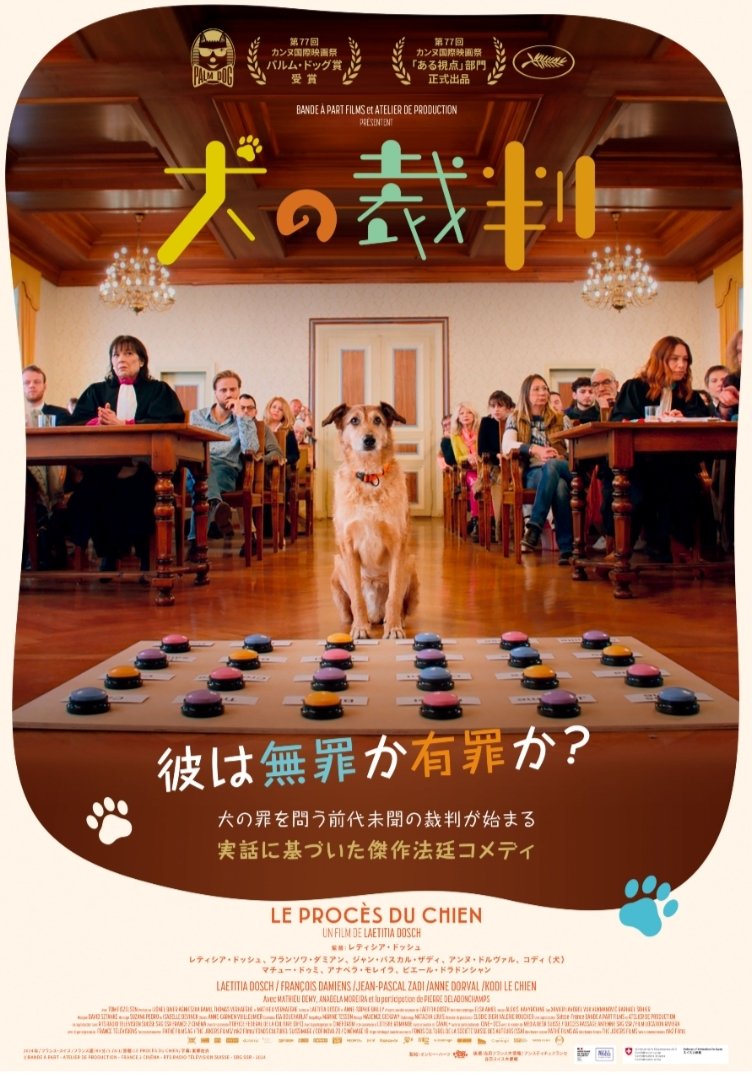 #犬の裁判 を観てきた。
被害女性が最後まで犬好きなのは心打たれた。
#犬
#裁判