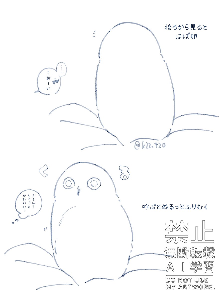 🦉Aと激懐きされてるオル
白梟ってほんとに、後ろから見るとたまご 