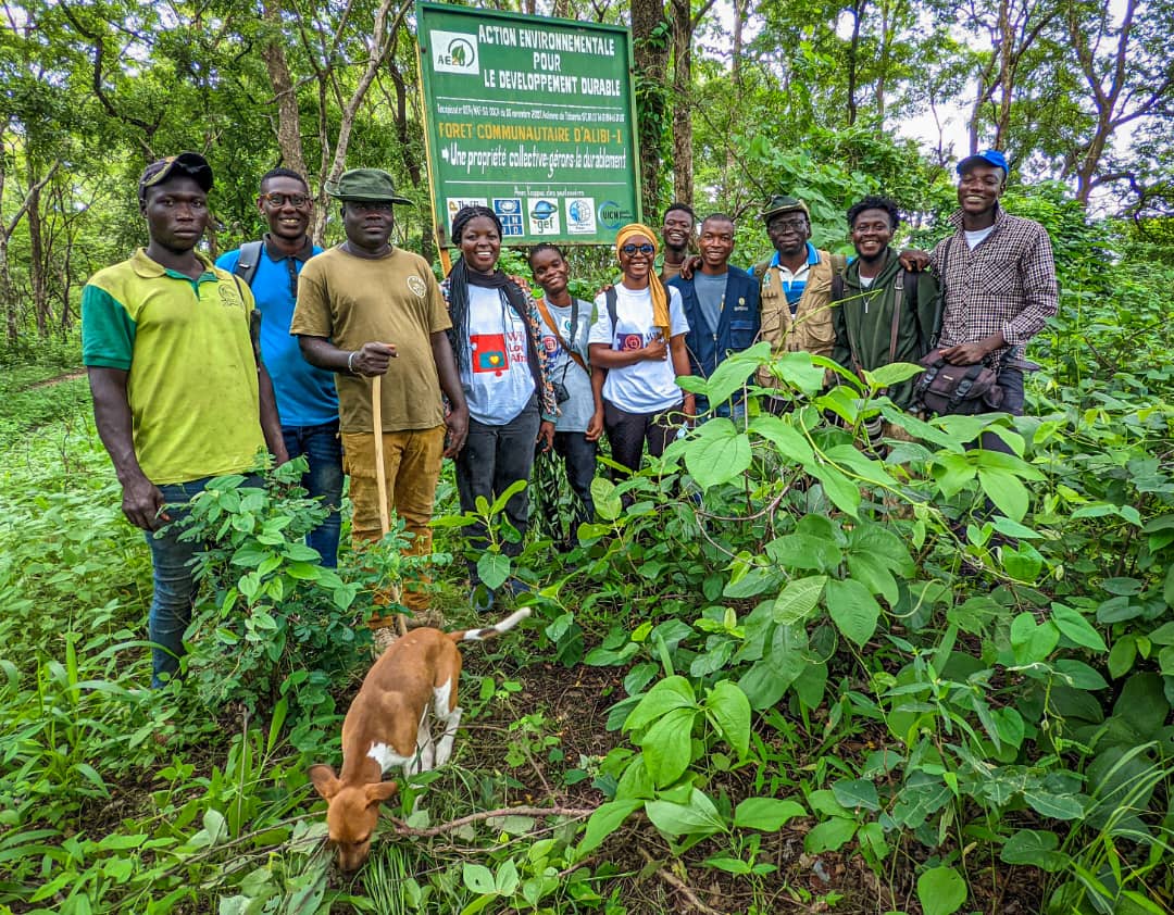 Wikimedia Togo tweet media