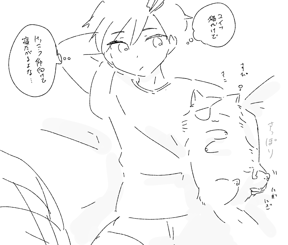 ya2maro's tweet photo. 猫化
さくすお https://t.co/d5Rg3wjO1Q