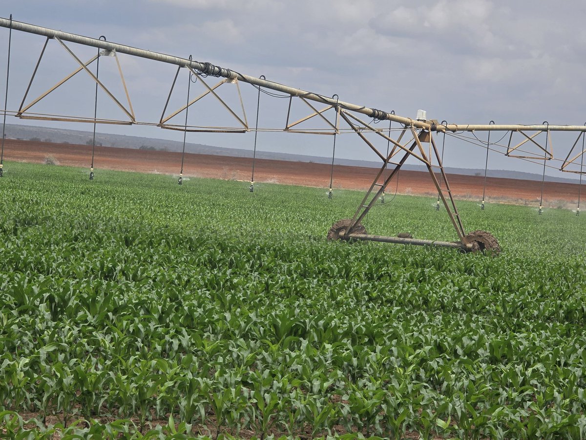Yesterday I toured the Galana Kulalu Irrigation Project, accompanied by the Principal Secretary for Irrigation, CPA Ephantus Kimotho, CBS. Galana Kulalu stands out as a successful example of a Public-Private Partnership (PPP) delivering on Kenya’s agricultural development agenda.