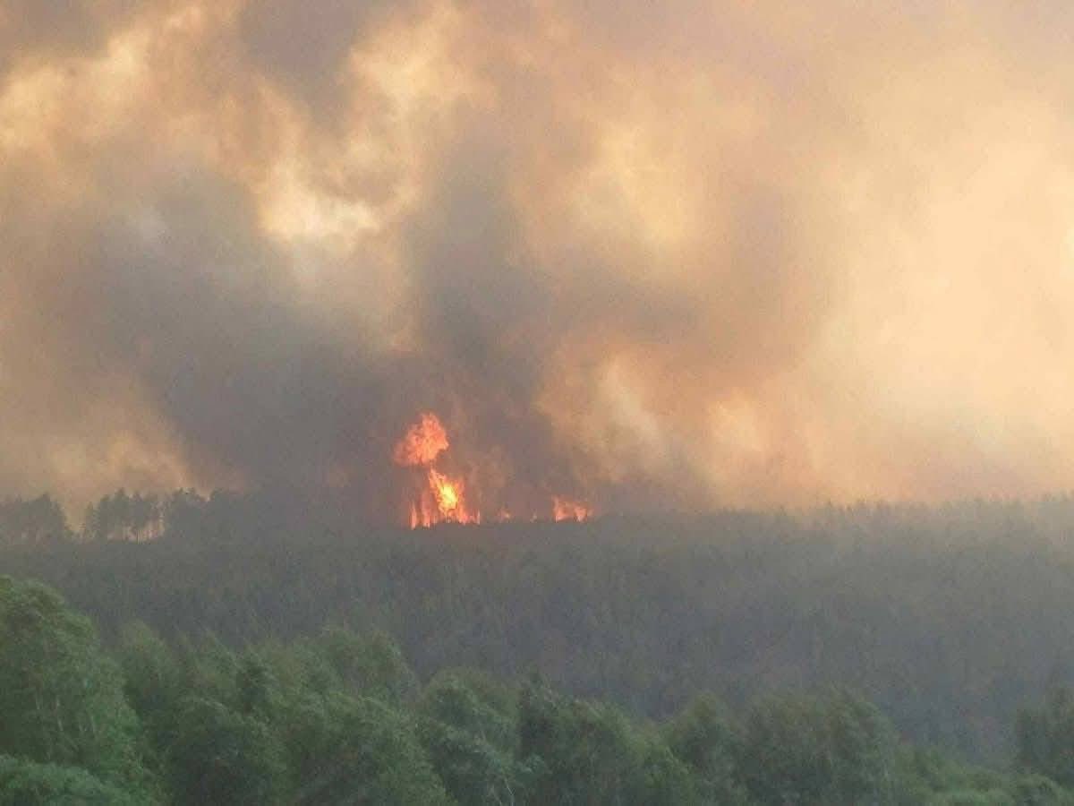 Тужийн нарсаа авраачээ <a href="/Zandanshatar/">Zandanshatar G</a>