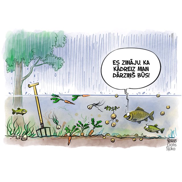 KarikaturaLv's tweet image. Vidzemē un Latgalē ekstremāli lielais mitrums rada gaisa trūkumu augu saknēm,augi dzeltē,nenotiek optimāla auga barības vielu uzņemšana.
🇱🇻 austrumu daļā pēc nokrišņiem ūdens krājās uz laukiem.Lietavu rezultātā applūdušās platības daļas nav apsētas vai apstādītas. @lasilvportals