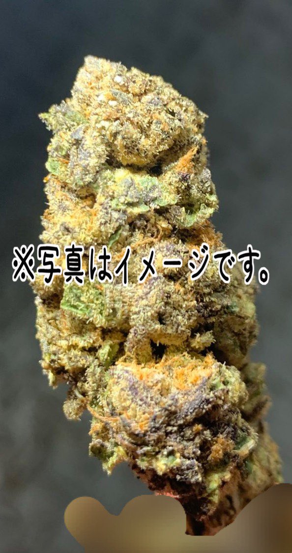 THUG_GUYS_Ch's tweet image. 🎁 𝟲𝟲𝟲ｸﾝ ゲリラ⚡️㉚名当選企画🎁

『そこら辺の雑魚Ⓟと
同じにしないでください🤣』

・"極"🅾️G🍯 × ⑮名
・𝙥𝙪𝙧𝙥𝙡𝙚 𝙥𝙪𝙣𝙘𝙝🪻× ⑮名

条件✅
・𝘾𝙃登録📺+【𝕏】𝙁𝙤𝙡𝙡𝙤𝙬 + 𝙍𝙏 + ♡
【x.gd/2sQOT】

〆切
・RTといいねが100🌟

皆様の拡散力期待しております♻️🔊