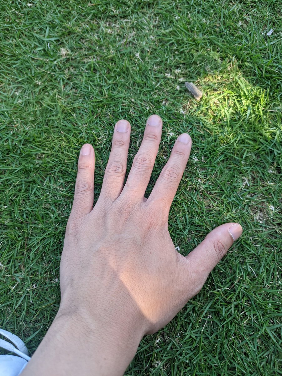 Touching grass
