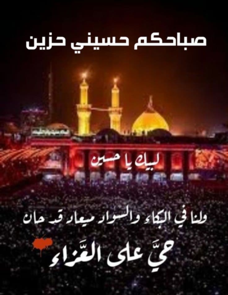 Wx7vkWxYKCfJ0TC's tweet image. 